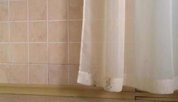 Best Air Quality Testing for Mold Spores  in Westland, MI