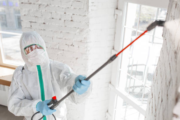 Best Mold-Related Health Consultation  in Westland, MI