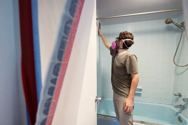 Best Biohazard Mold Removal  in Westland, MI