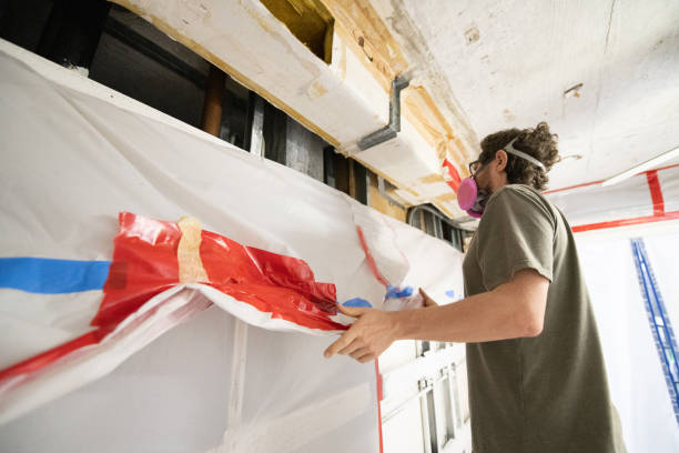 Best Residential Mold Inspection & Testing  in Westland, MI