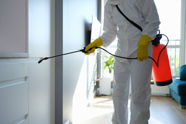 Best Water Damage & Mold Remediation  in Westland, MI