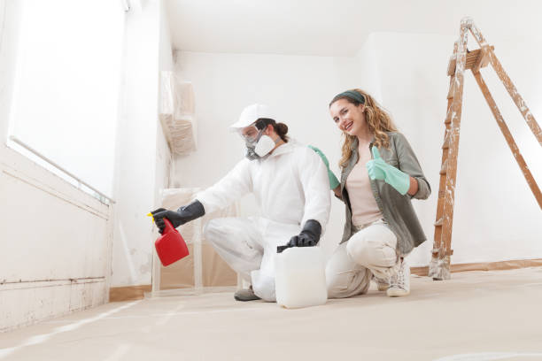 Trusted Westland, MI Mold Removal Experts